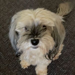 Meet your Posher, Amber